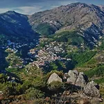 O Vicente B&B 로리가