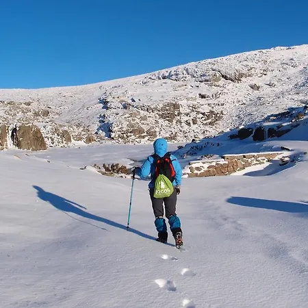 Bed & Breakfast O Vicente Loriga