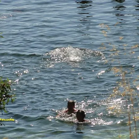 Alojamento de Acomodação e Pequeno-almoço O Vicente 3*
