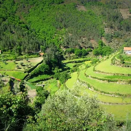 O Vicente Bed and breakfast Loriga
