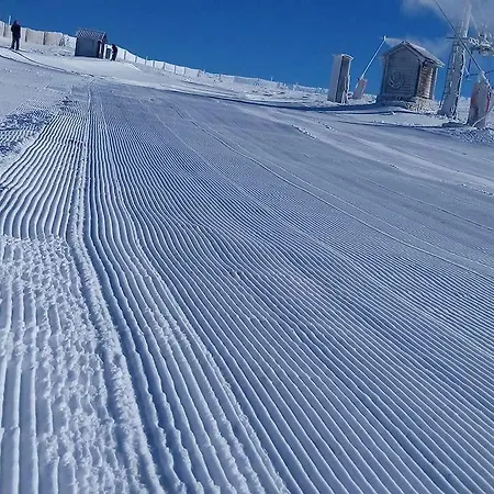 Alojamento de Acomodação e Pequeno-almoço O Vicente 3*