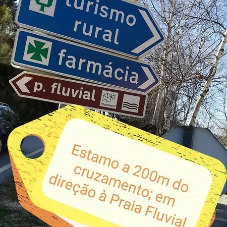 O Vicente Loriga
