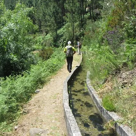 O Vicente Bed & Breakfast Loriga