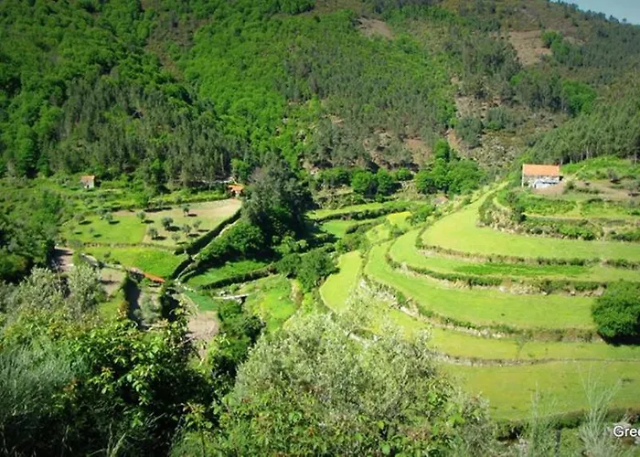 O Vicente Bed & Breakfast Loriga