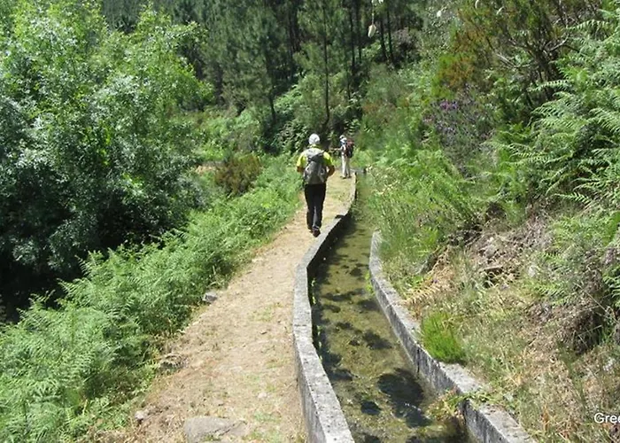 O Vicente Bed & Breakfast Loriga